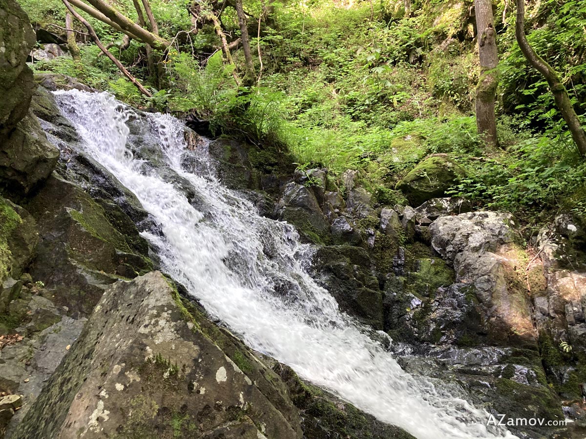 The red trail to the Boyana waterfall