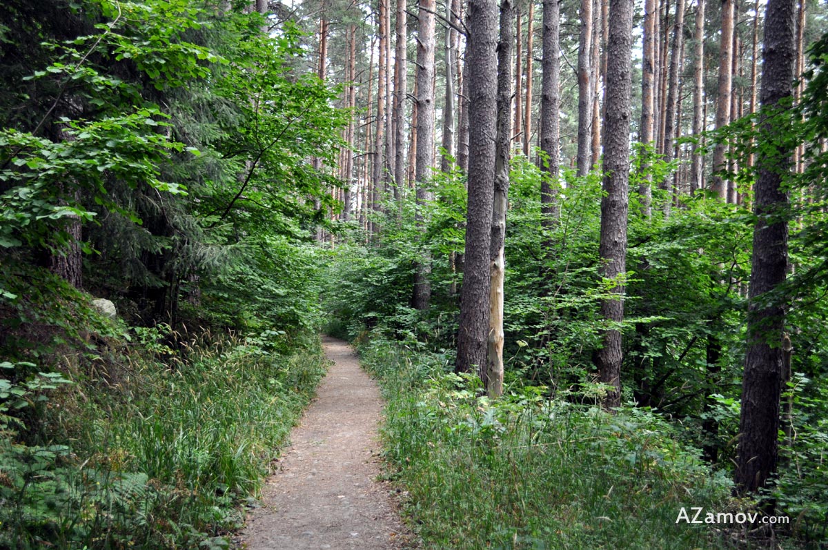 A summer hike to hut Aleko from Simeonovo