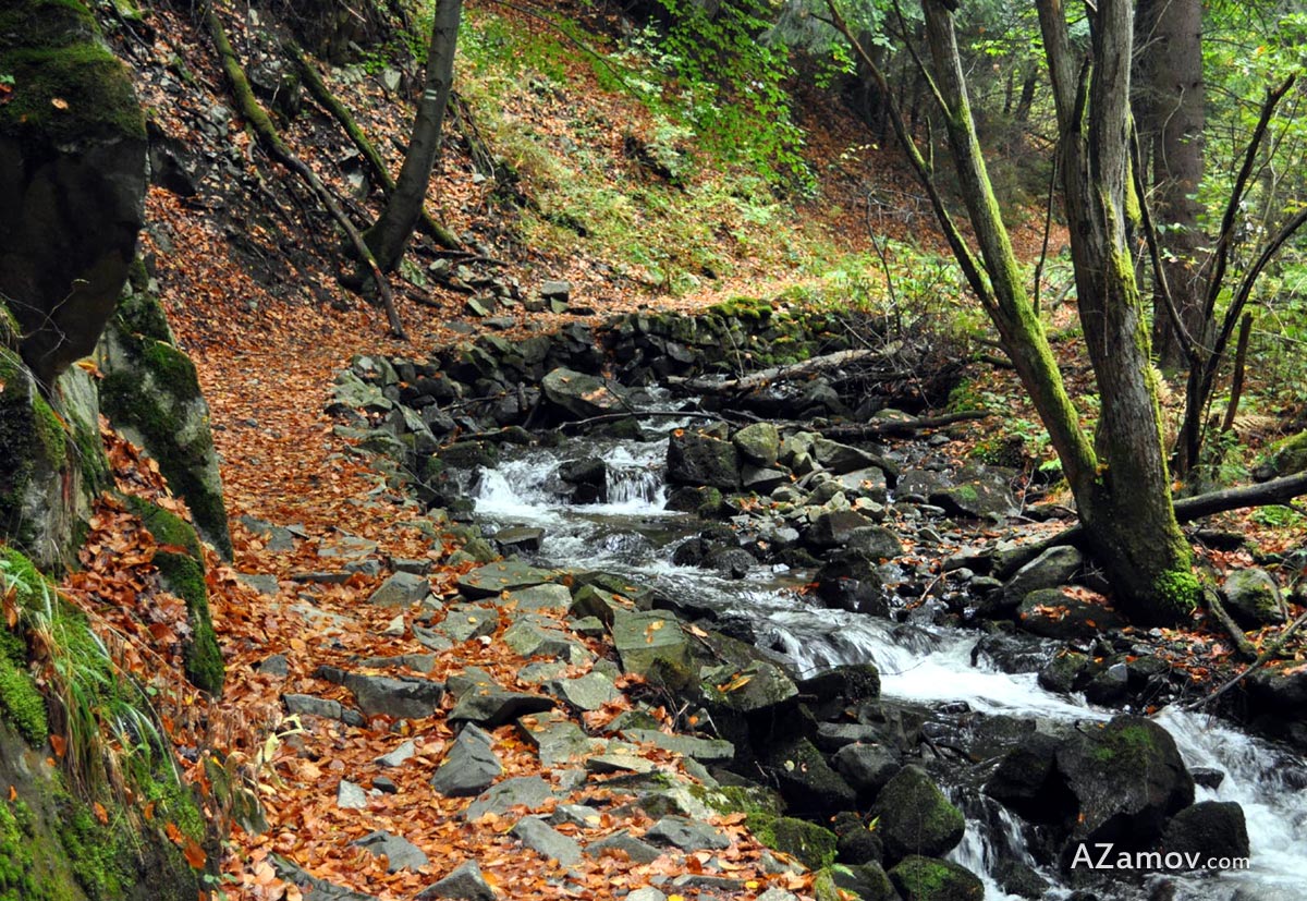 A hike from Bistrica to hut aleko