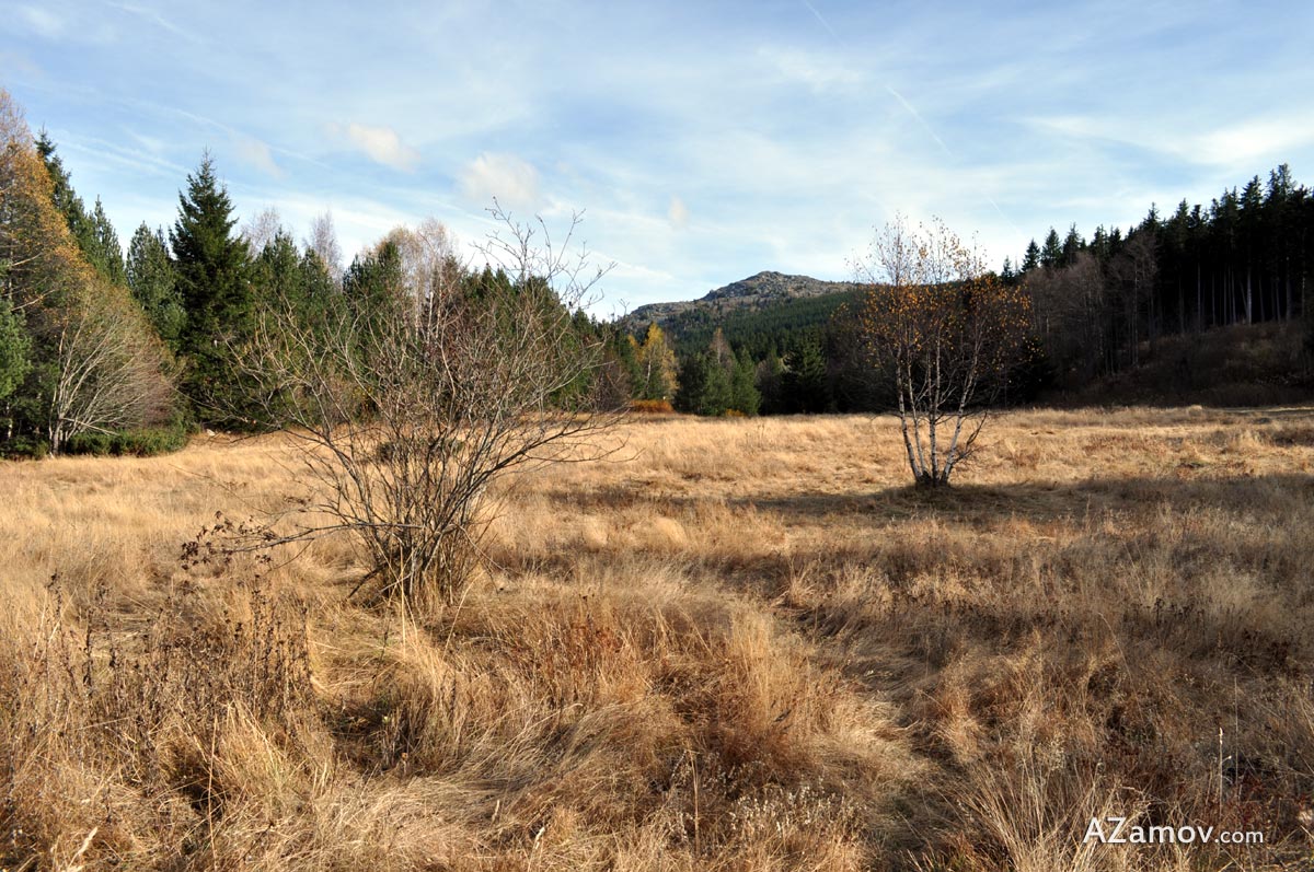 A round hike to peak Kamen Del from Dragalevtsi