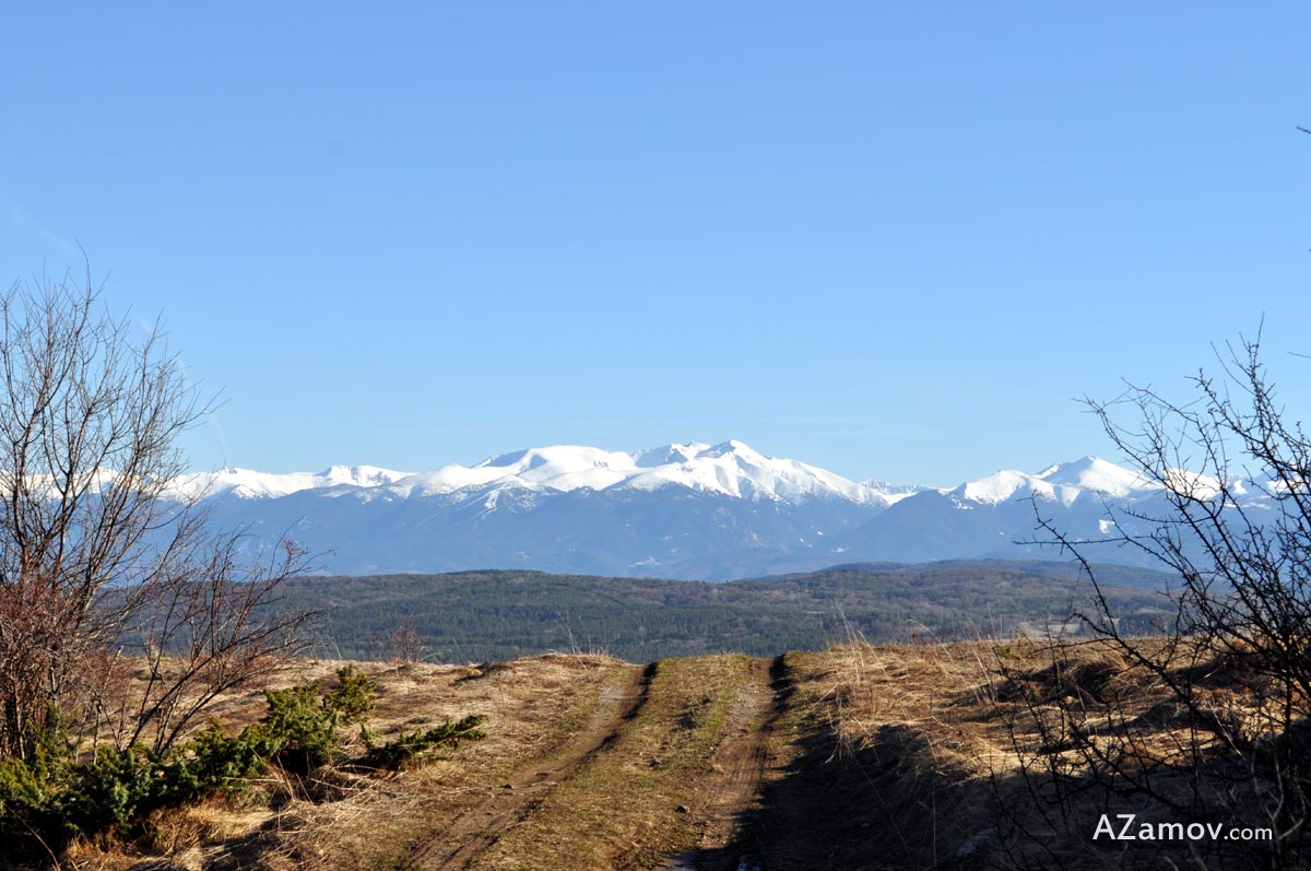 A hike to the highest peak in Plana mountain - peak Manastirishte