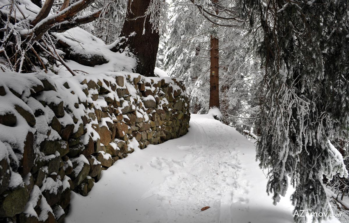 A winter hike from Bistrica to hut Aleko