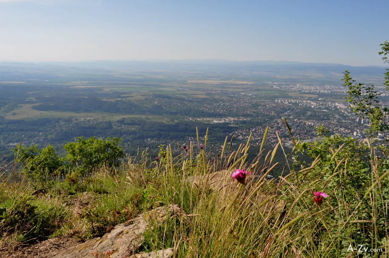 The favourite trail on Vitosha of Boyan Petrov