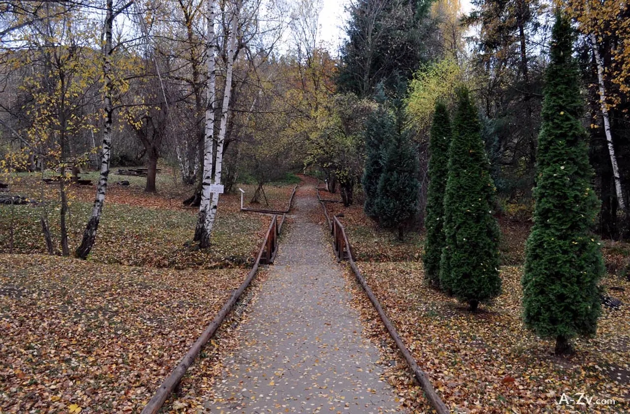 The dendrariuma area on Vitosha