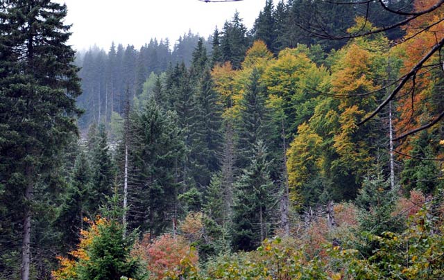 Vitosha Hiking Trails