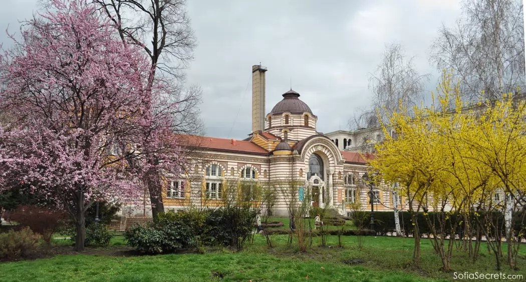 The garden near the mosque and the mineral water