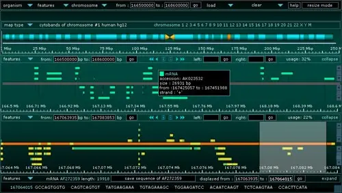 Genome Viewer